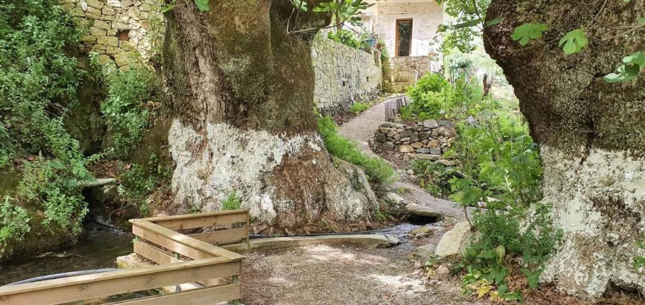 Platanus House Meskla Exterior foto